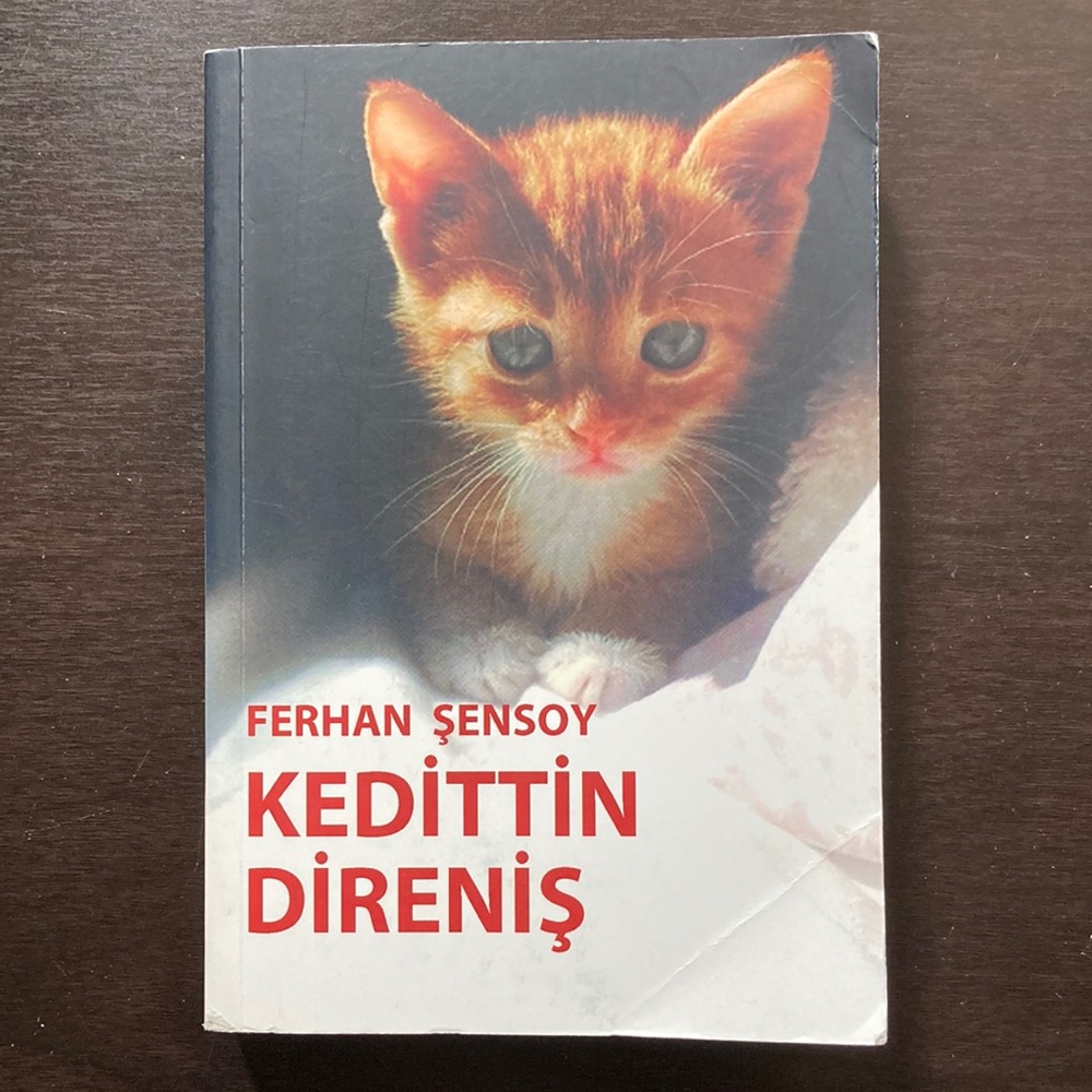 3/$35 Büyük baskı roman